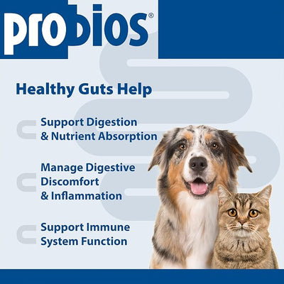 Probios Probiocin Oral Probiotic Gel for Dogs and Cats, Digestive and Immune Support Supplement, Easy Syringe Administration, Suitable for Newborns to Senior Pets, 15g Tube (Pack of 2)