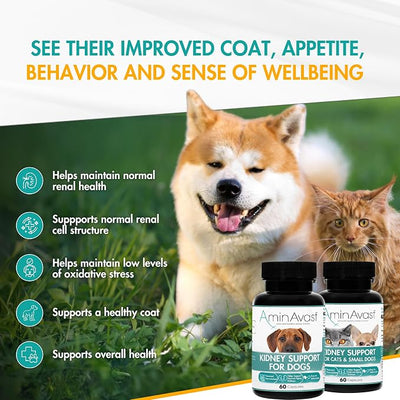 AminAvast Kidney Support Supplement for Cats and Small Dogs, 300mg 2-Pack - Promotes Natural Kidney Function - Aids in Health and Vitality of Aging Kidneys - Easily Administered - 60 Sprinkle Capsules