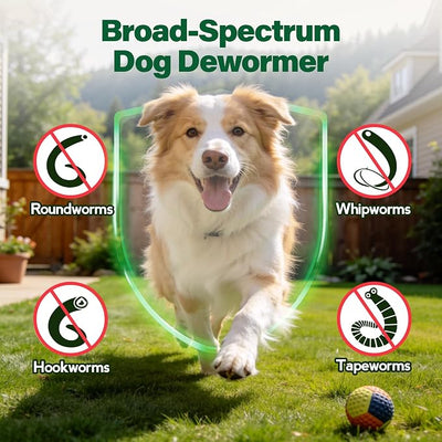Canine Dewormer for Dogs (fenbendazole) 50 g, Easy-to-Measure Food Mix-in, Simple Routine Support for Dogs 6 Weeks and Older
