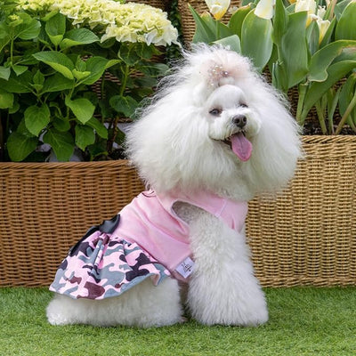 CuteBone Daddy's Little Girl Dog Dress for Small Dogs Pink Skirt Puppy Velvet Dresses Dog Clothes