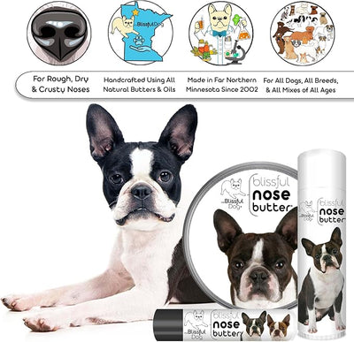 The Blissful Dog Boston Terrier Nose Butter, Versatile Dog Nose Balm for Dry Nose, Handcrafted Nose Moisturizer, Easy-to-Apply Dog Essentials, Unscented, 4 oz.