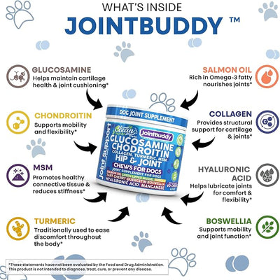 JointBuddy Glucosamine Chondroitin Joint Supplement for Dogs Salmon Oil MSM Tart Cherry Omega 3 6 9 Fish Oil Hyaluronic Acid Supplements & Collagen for Dogs 60 Chews Beef Flavor by Clean Nutra Pets