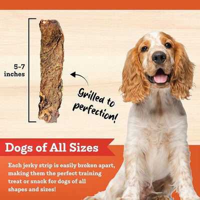 Colorado Naturals Beef Jerky Strips Dog Treats, 16 oz – All-Natural, Made in USA, No Fillers or Preservatives – Great for Muscle Development