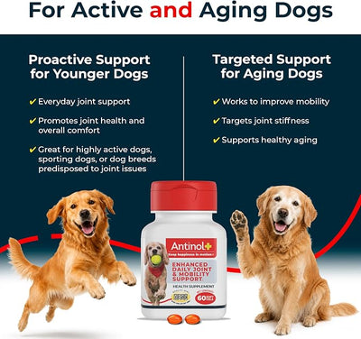 Antinol Plus, Mobility, Hip, and Joint Supplement for Dogs, Green-Lipped Mussels and Krill Oil - Dog Joint Supplement, Better and Faster Than Glucosamine and Chondroitin, 120 Soft Gels