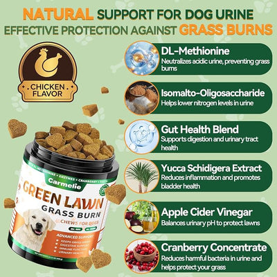 Carmelie Dog Urine Neutralizer for Lawn Grass Burn – Dog Pee Grass Chews 200ct Green Grass Burn Spot Chews for Dogs with DL-Methionine, Probiotics & Enzymes – Supports Urinary & Digestive Health