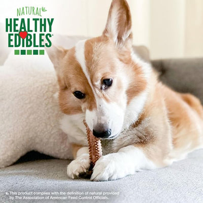 Nylabone Healthy Edibles Natural Dog Chews Long Lasting Meaty Center Beef Flavor Treats for Dogs, Small (12 Count) (Pack of 2)