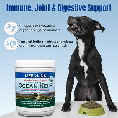 Life Line USDA Certified Organic Ocean Kelp for Pets & Livestock | Supports Skin & Coat Health, Immune Function, and Dental Hygiene | Promotes Metabolism & Reduces Plaque and Shedding – 16 oz