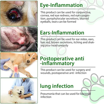Dog Antibiotics Antibiotics for Dogs Dog Eye Infection Treatment Dog Cough Treatment Dog Cough Treatment 4.04fl.oz(120ml)