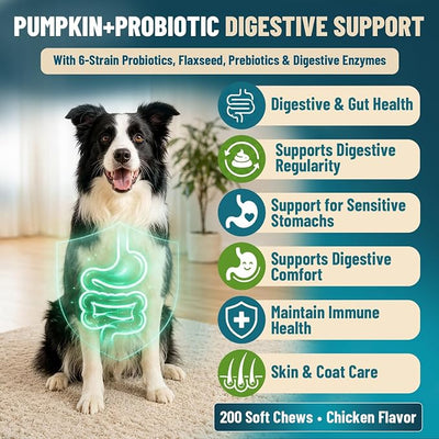 Probiotics for Dogs, 200 Soft Dog Probiotic Chews for Dogs Gut Health Digestive & Immune Support, Dog Probiotics for Yeast Itchy Skin with Digestive Enzymes, Pumpkin, Constipation & Diarrhea Relief
