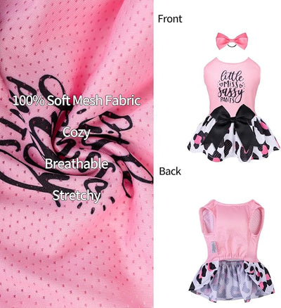 CuteBone Dog Mesh Dress Puppy Sundress Pet Outfit Summer Fashion for Small Dogs Girl Cat Clothes