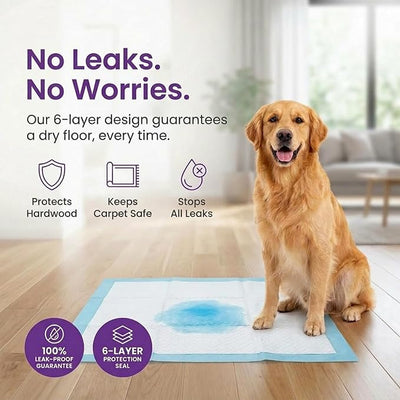 BV Puppy Pads XL 40 Count 34"x28" - Leak-Proof Pee Pads for Dogs with 6-Layer Design, Rapid Dry Sheet & Attractant - Dog Pad Extra Large with Odor Control - Perfect for Big Dogs & Indoor Use