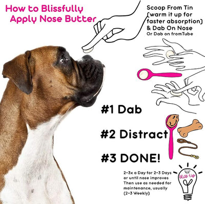 The Blissful Dog White Boxer Nose Butter for Dry, Cracked Skin, Lick-Safe Dog Nose Balm with Moisturizing Shea Butter, Almond, Olive, and Essential Oils, Pet Supplies, Uncented, 1 oz.