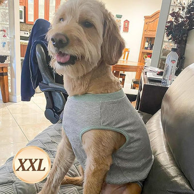KYEESE 2Pack Waffle Dog Shirts, Lightweight Sleeveless Dog T Shirts for Medium Large Dogs Boy, Breathable Pet Vest Comfort Tank Top Soft Dogs Clothes for Daily Wear, Blue+Grey, 2XL