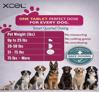 XCEL Taurine for Dogs 1000 mg Supplement with L-Carnitine, Quarter Scored Tablets (250 mg Split), Up to 240 Servings, Supports Heart, Eye & Energy Health