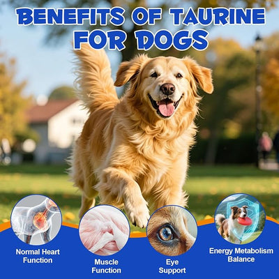 Taurine Powder for Dogs, Pure Taurine Supplement for Heart Function, Vision, Skin & Coat, Daily Energy Support, Easy Mix Unflavored Dog Food Topper with Scoop, 200g