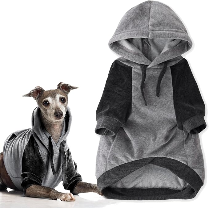 Pet Passion Cooper II Organic Cotton Velour Dog Hoodie Pet Coat for Small, Medium and Large Dogs, Heather Gray Color Block, X-Small (5-12 lbs)