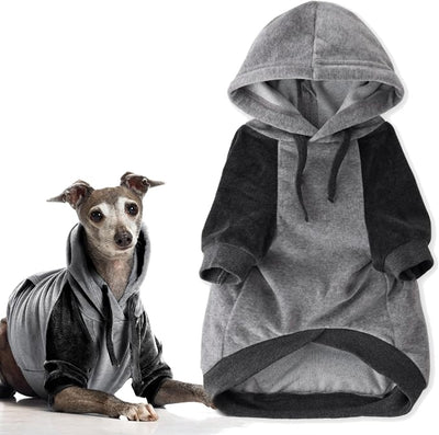 Pet Passion Cooper II Organic Cotton Velour Dog Hoodie Pet Coat for Small, Medium and Large Dogs, Heather Gray Color Block, Small (10-25 lbs)
