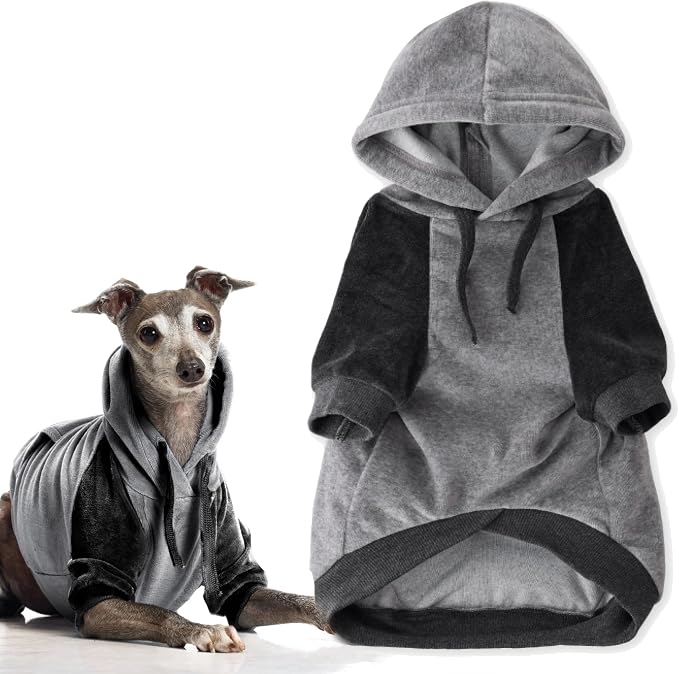 Pet Passion Cooper II Organic Cotton Velour Dog Hoodie Pet Coat for Small, Medium and Large Dogs, Heather Gray Color Block, X-Large (55-80 lbs)