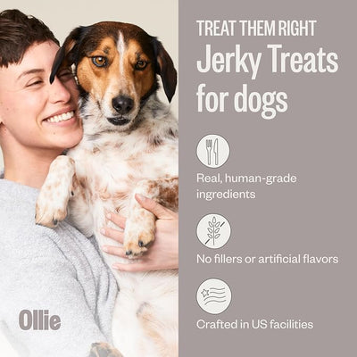 Ollie Jerky Dog Treats Variety Pack, Chicken and Apple & Salmon and Coconut Bundle, All Natural, Healthy, Made with Real Meat 5 Oz. Pack of 2