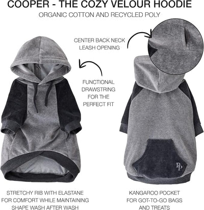 Pet Passion Cooper II Organic Cotton Velour Dog Hoodie Pet Coat for Small, Medium and Large Dogs, Heather Gray Color Block, X-Small (5-12 lbs)