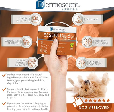 Dermoscent Essential 6 spot-on - Dog Skin Care for Dandruff & Allergy Relief with Vitamin E Oil - Anti Itch for Dogs - Natural Ingredients for Sensitive Skin - Dogs 20-40 kg - 4 Pipettes of 2.4 ml