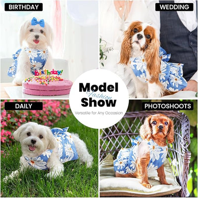 ABRRLO Cute Dog Dress Small Dog Clothes for Girls Female Puppy Outfits Blue Daisy Pet Summer Clothes Bowknot Doggy Cat Princess Dress Harness Set for Holiday Birthday Party Costume Clothing (Blue,L)