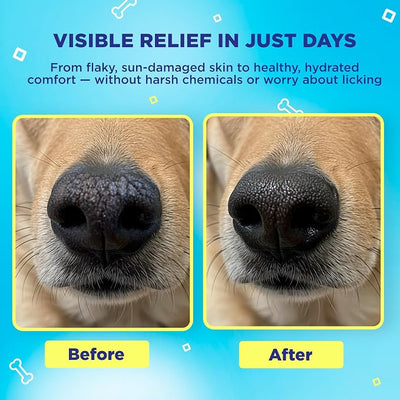 Handy Hound SnoutScreen Dog Sunscreen Balm for Nose & Paws - Lick-Safe Natural Sun Protection, No Zinc Oxide, Soothes Dry Cracked Skin, Made in USA, for Pink Noses & Light-Coated Dogs, 1 oz