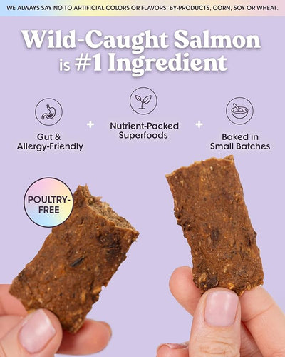 Bundle X Joy Salmon Superfood Bar Dog Treats, Poultry Free, 5 Ounces (Pack of 6)