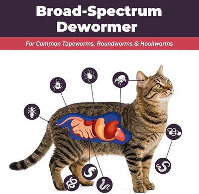 Broad-Spectrum Dewormer for Cats & Dogs | Praziquantel + Pyrantel Pamoate | Controls Tapeworms, Roundworms & Hookworms | 12 Flavored Tablets