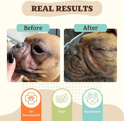 Natural Dog Company Wrinkle Balm for Dogs, 0.15 oz Stick | For Bulldogs, Frenchies & Pugs, Moisturizing Face Fold Care, Skin Fold Balm, For Warm Weather & Humid Days