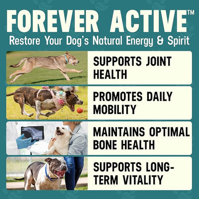 Better Dog Supplements by Cesar Millan® Forever Active – Natural Dog Hip & Joint Care for Mobility, Flexibility & Comfort – Herbal Blend Dog Joint Supplement Powder – 4oz (60-Day Supply)