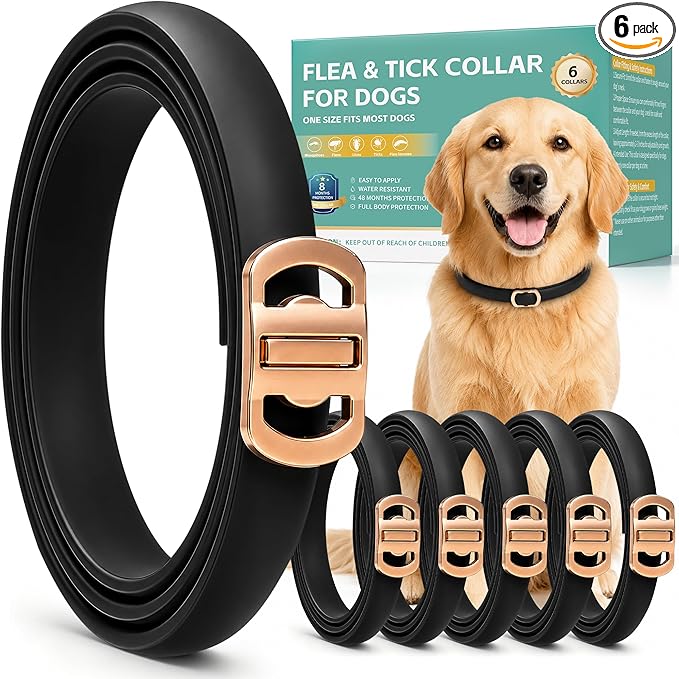 Flea and Tick Collar for Dogs 6 Pack, Natural Flea & Tick Prevention with Essential Oils, Waterproof Adjustable Dog Collar for Small Medium Large Dogs, Black & Gold