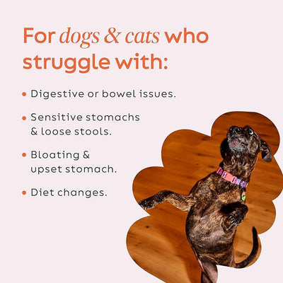 Diggin' Your Dog – Firm Up Pumpkin for Dogs & Cats – Fiber Supplement with Pumpkin & Apple Fiber for Cat & Dog Digestive Support – Made in USA, 16 oz