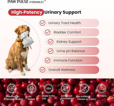Pawpulse Formula Cranberry for Dogs, Urinary Tract Support for UTI Health, Bladder Stones, Incontinence, Urine Flow, Probiotics for Gut & Immune, 90 Chews