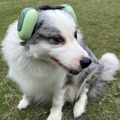 derYEP Dog Earmuffs GEN2 For Hearing Protection 30dB NRR ear muffs noise protection (Large, Deep Forest)