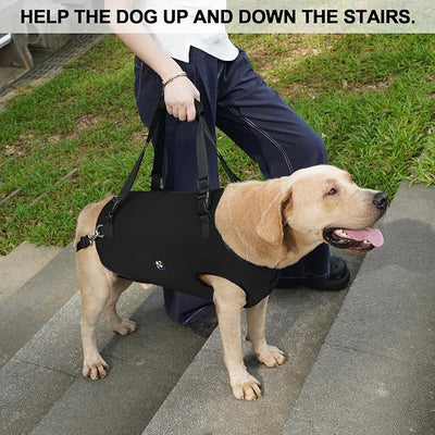 Coodeo Dog Lift Harness, Pet Support & Rehabilitation Sling Lift Adjustable Padded Breathable Straps for Old, Disabled, Joint Injuries, Arthritis, Loss of Stability Dogs Walk (Black, 2XL)