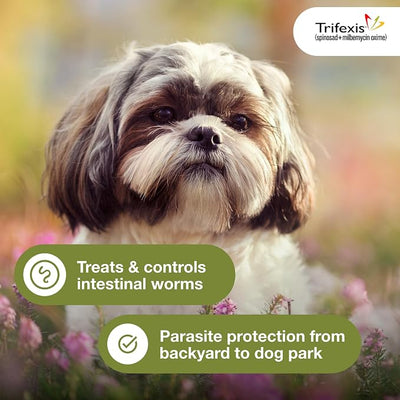 Trifexis Heartworm Prevention | Treats & Controls Flea Infestations + 4 Other Worms | Dogs 5-10 lbs. | 6 Chewables