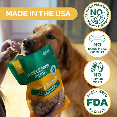 Wholesome Pride Nature's Biscuits Pumpkin Dog Treats, Crunchy All-Natural Bone-Shaped Snacks, Limited Ingredient, Dogs & Puppies, 16 oz