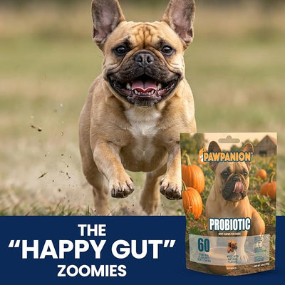 Probiotic Soft Chews for Dogs Gut & Digestive Support 60 Count