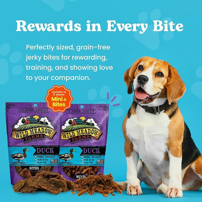 Classic Duck Bites, Soft Jerky Treats for Dogs, Grain-Free & All-Natural, Ideal for Training, Portioning, and High-Value Rewards for All Breeds & Ages - 3.5 Ounce Pouch