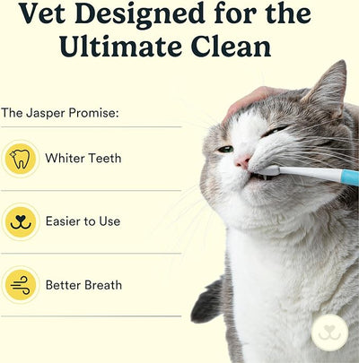 Jasper Microbrush Vet Approved Cat Toothbrush, Soft-Bristled Toothbrush Kit for Felines & Small Dogs, Non-Slip Handle with 2 Replaceable Tooth Brush Heads, Use with Cat Toothpaste, 2-Pack, Gray Mist