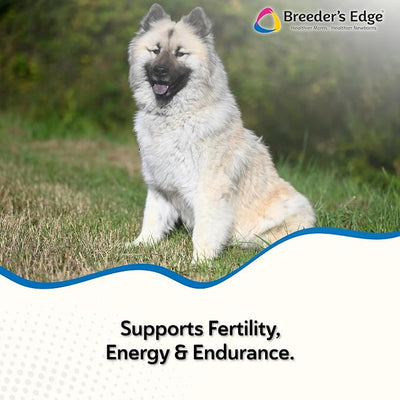 Breeder’s Edge Oxy Stud Male Supplement Multivitamin for Dogs & Cats, Helps Support Breeding, Fertility and Nutritional Needs Specific to Male Reproductive Health, Soft Chews - 60ct Medium & Large Dog