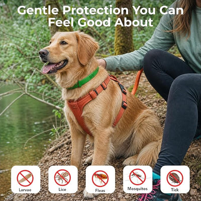 FurLife Flea and Tick Collar for Dogs – Waterproof Black Dog Collar, Pet Supplies for Tick and Flea Prevention for Dogs, Safe for All Breeds