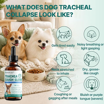 Collapsed Trachea Treatment for Dogs, Trachea Cough Elixir, Dog Cough Suppressant – Relieves Throat Irritation, Hoarseness, Gagging, Wheezing – 100% Natural Respiratory Support for Smooth Breathing