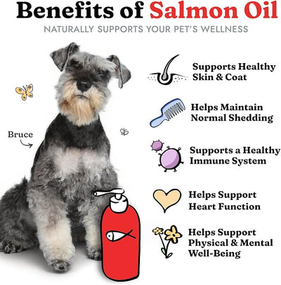 Salmon Oil for Dogs & Cats - Healthy Skin & Coat, Soft Shiny Glossy Coat, Fish Oil Omega 3 EPA DHA, Immune System & Heart Function Support, Normal Shedding, Liquid Supplement for Pets | Soft Shiny Glossy Coat, EPA DHA, Immune System & Heart Function Su...