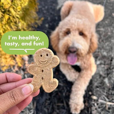 Buddy Biscuits 16 oz. Box of Whole Grain Crunchy Dog Treats Made with Natural Roasted Chicken