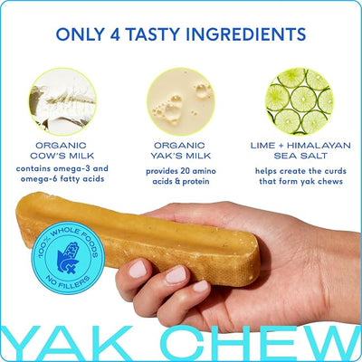 Native Pet Beef Bone Broth for Dogs (4.75 oz) & 5 Small Yak Chews for Dogs - Bone Broth Powder Food Topper and All Natural Dental Chew Made with Yak Cheese for Aggressive Chewers