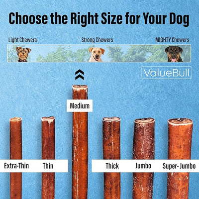 ValueBull Bully Sticks for Dogs, Medium 6 Inch, 200 Count Bulk Pack - All Natural, Grass Fed, Single Ingredient, Long Lasting Dog Treats
