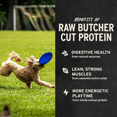 Vital Essentials Freeze Dried Raw Duck Hearts Dog Treats | Single Ingredient | Premium Quality | Grain Free Treats for Dogs, 10 oz Bag