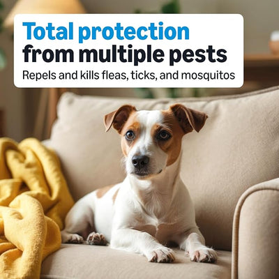 Amazon Basics Preventative Flea, Tick & Mosquito Topical Treatment for Medium Dogs (11-20 Pounds), Kills Fleas, Prevents Infestations, 4 Count, Packaging May Vary
